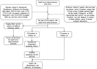 Metastasis Pattern and Survival Analysis in Primary Small Bowel Adenocarcinoma: A SEER-Based Study